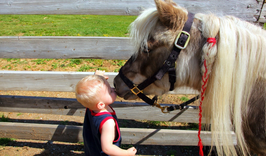 Ребенок целует лошадь
