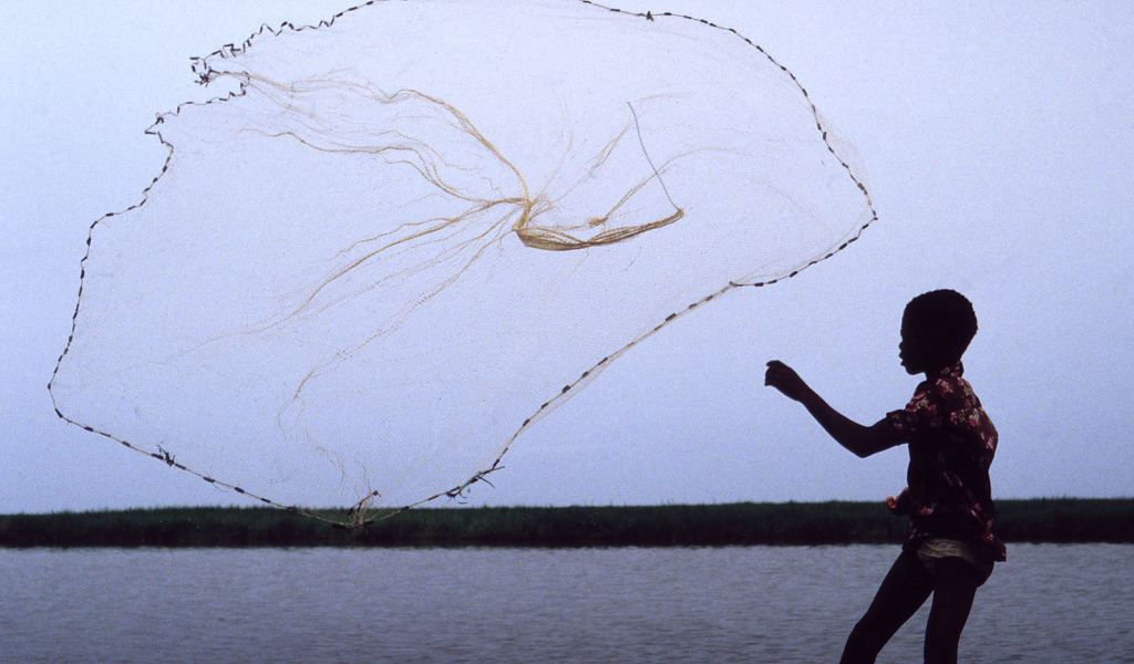 Мальчик забрасывает сеть