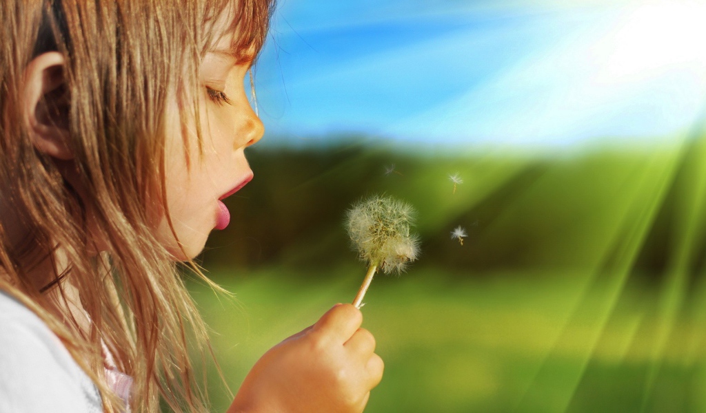 Девочка дует на одуванчик