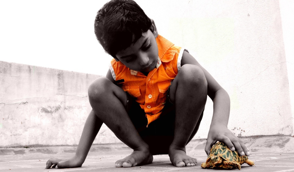 Ребенок с черепахой