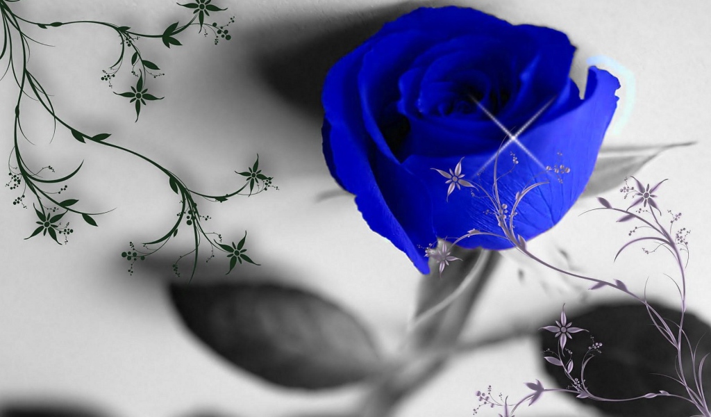 Синяя роза и узоры