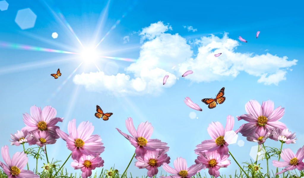 Летают бабочки и лепестки