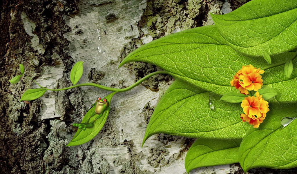 Лягушка на зеленом листе