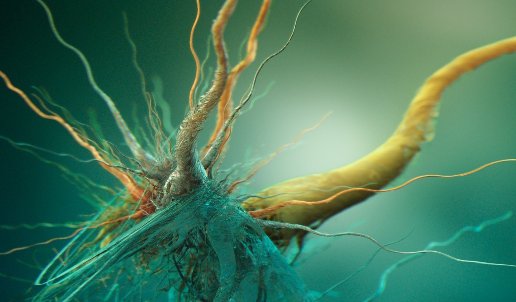 Сплетение корней