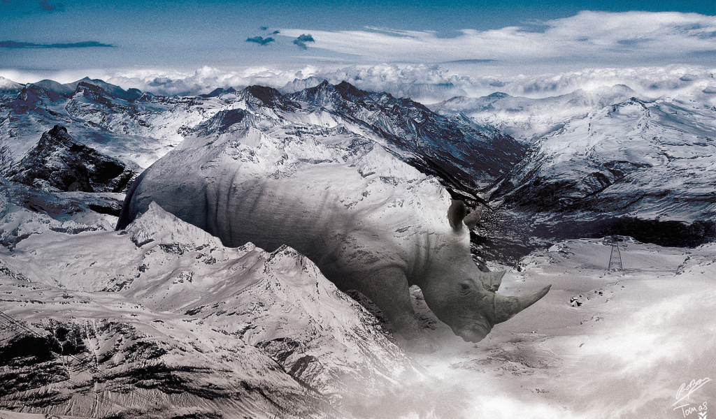 Носорог в горах