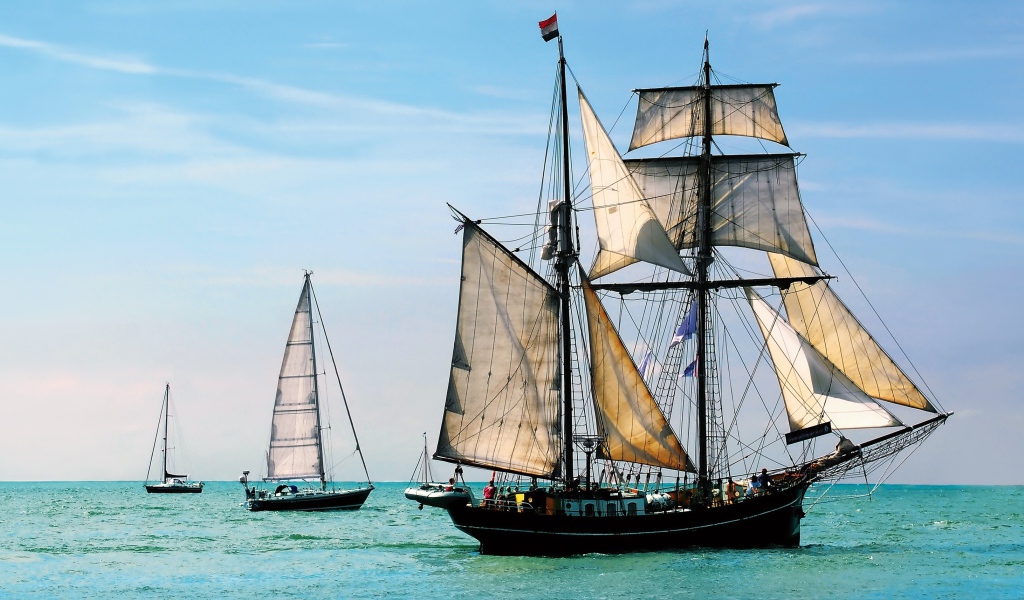 Плеяда парусников в море