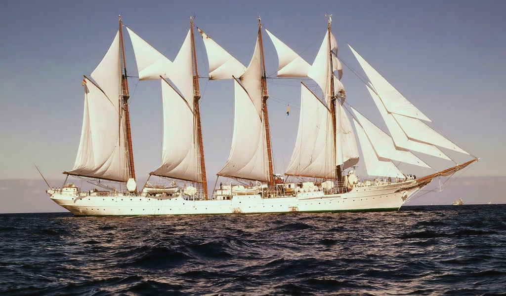 Попутный ветер в парусах