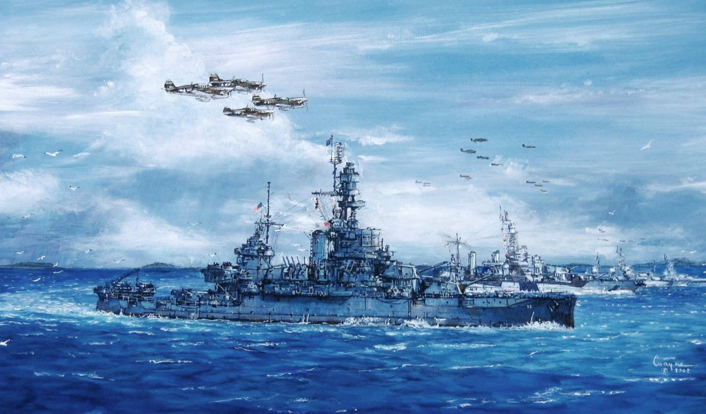 Самолеты сопровождают корабли