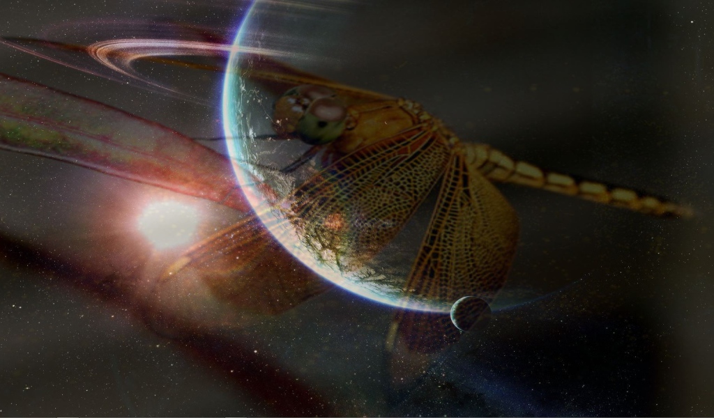 Стрекоза и космос