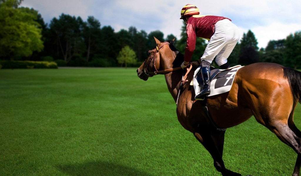 Конный спорт