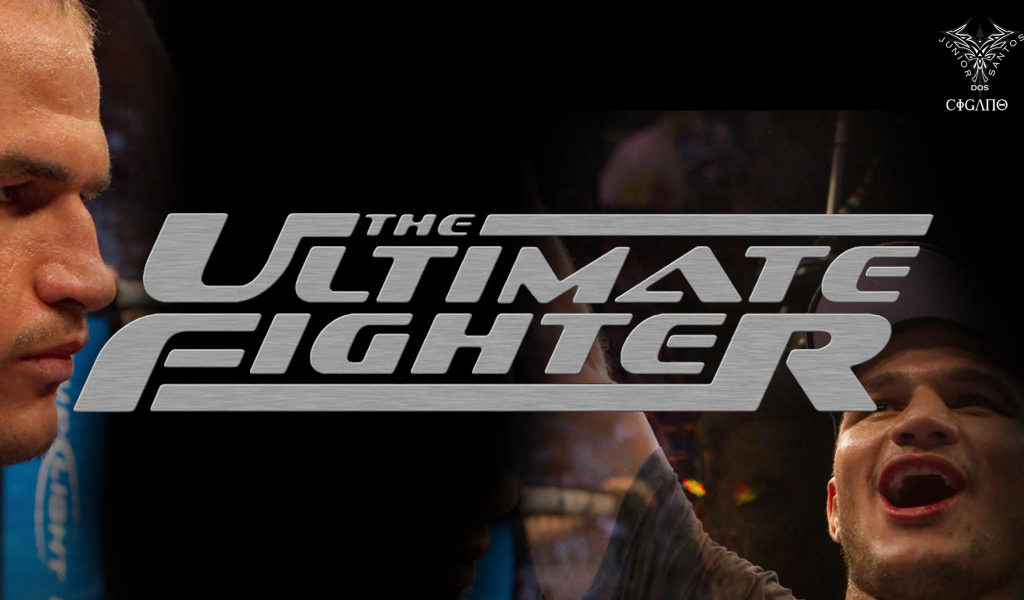 Известный боец Джуниор Дос Сантос