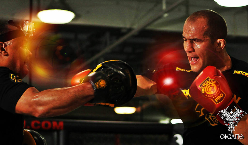 Боец Джуниор Дос Сантос