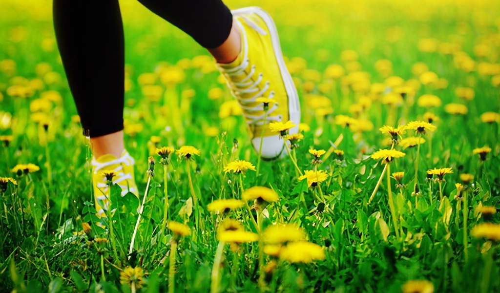 Пробежка в кедах по лугу