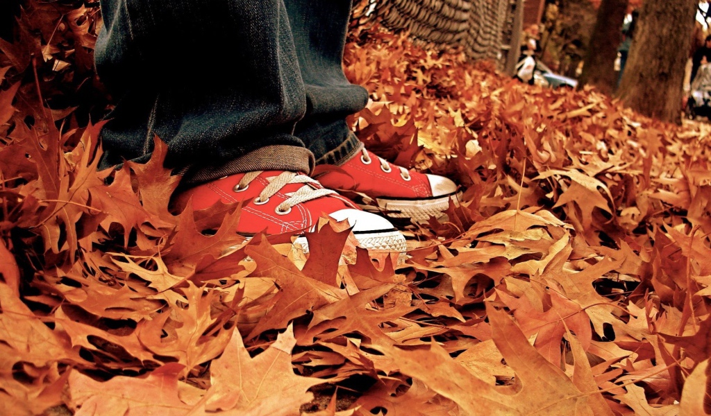 Кеды для осенней прогулки