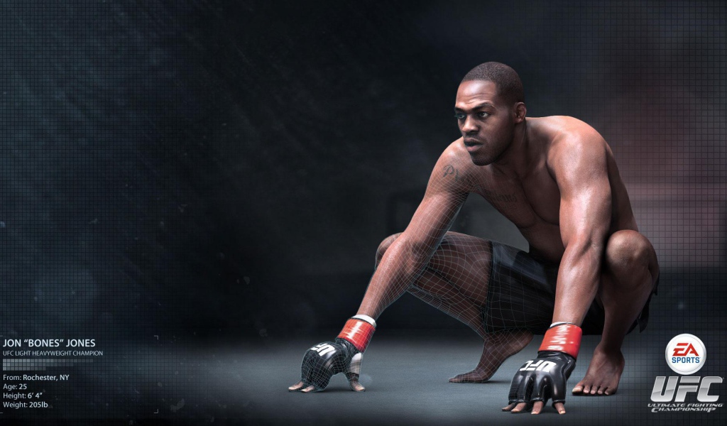 УФЦ  Боец Джон Джонс