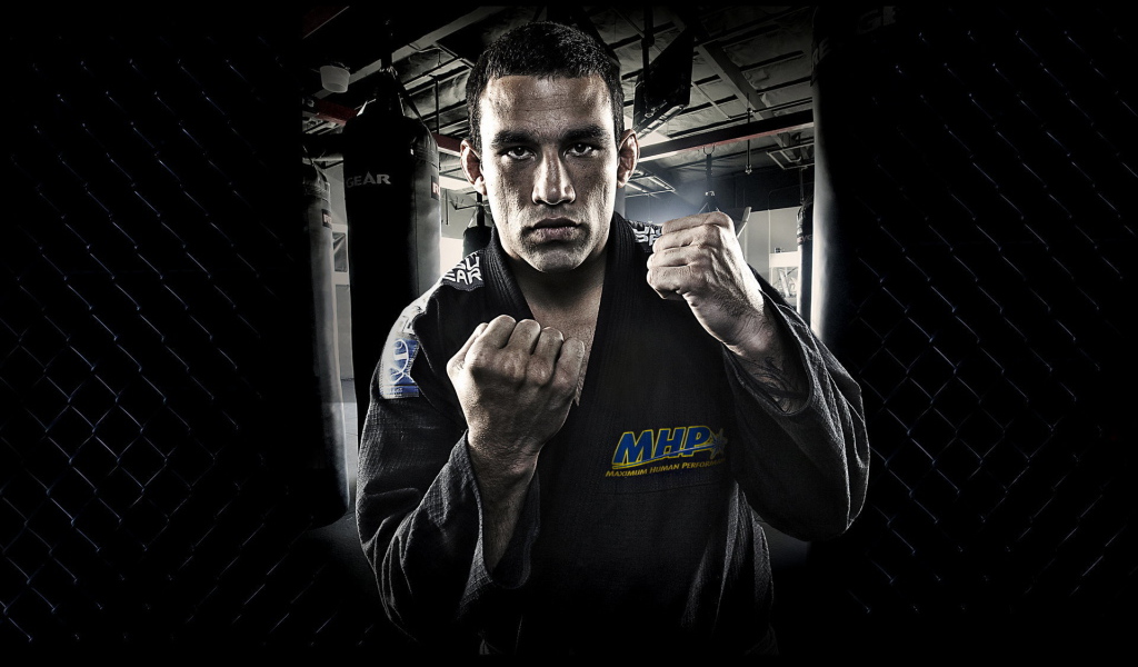 UFC Боец Хосе Альдо