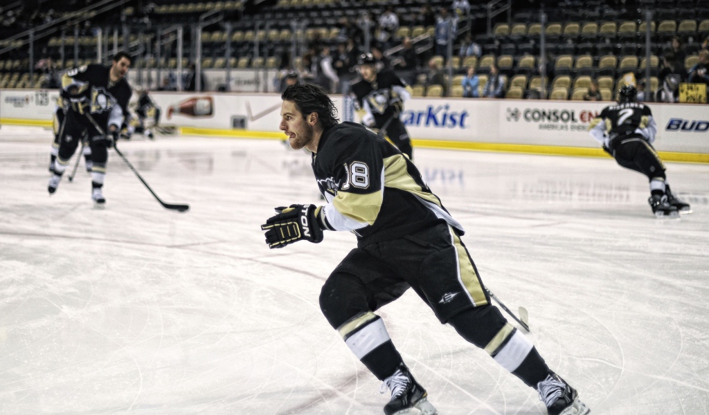 Известный Хоккеист Джеймс Нил