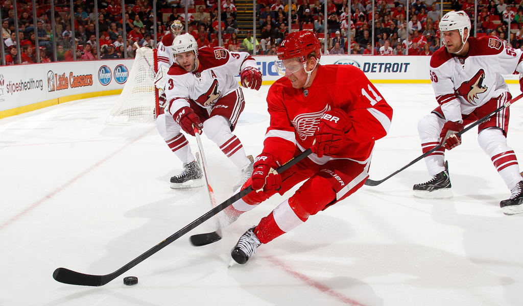 Известный Хоккеист Джером Игинла