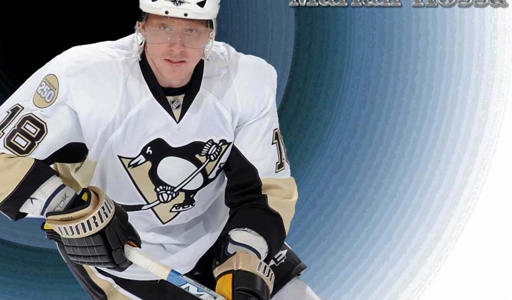 Хоккеист Мариан Хосса