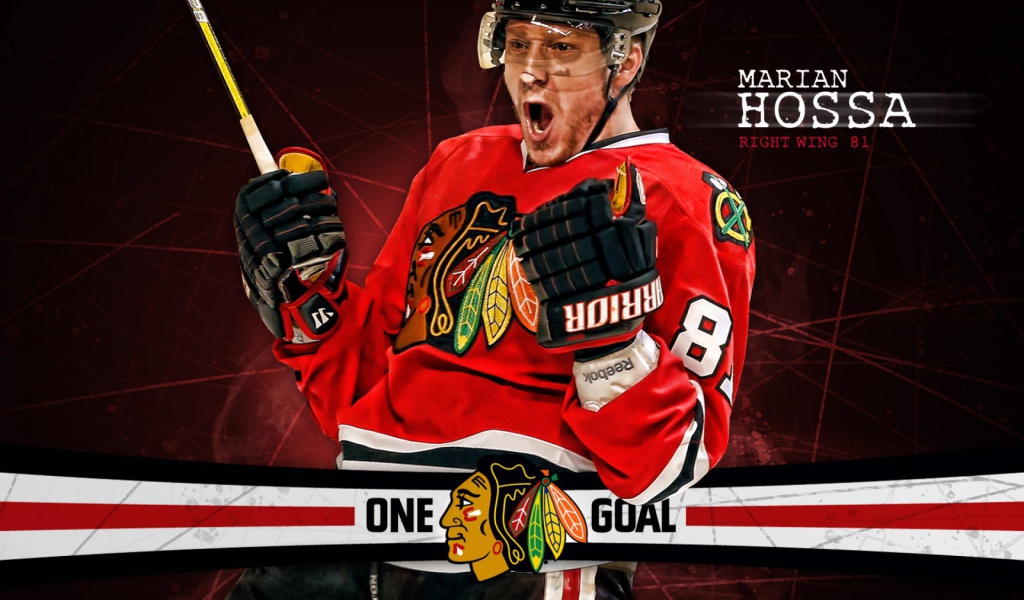 Игрок Мариан Хосса