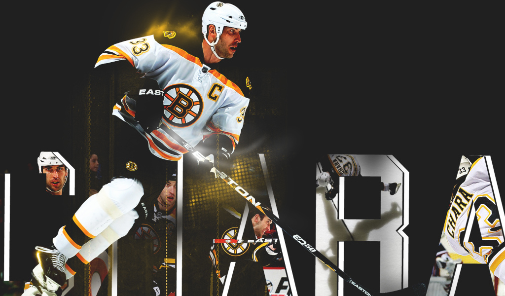 Здено Хара на льду