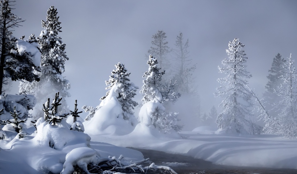 Снег засыпал деревья