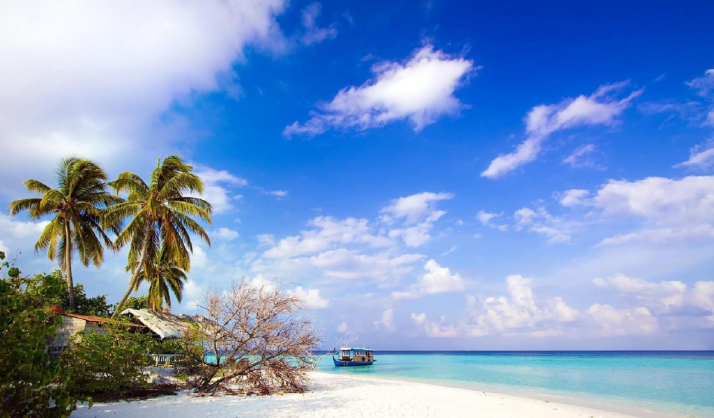 Природа острова Бали