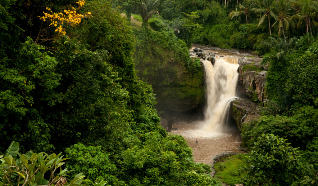 Водопад в джунглях Бали