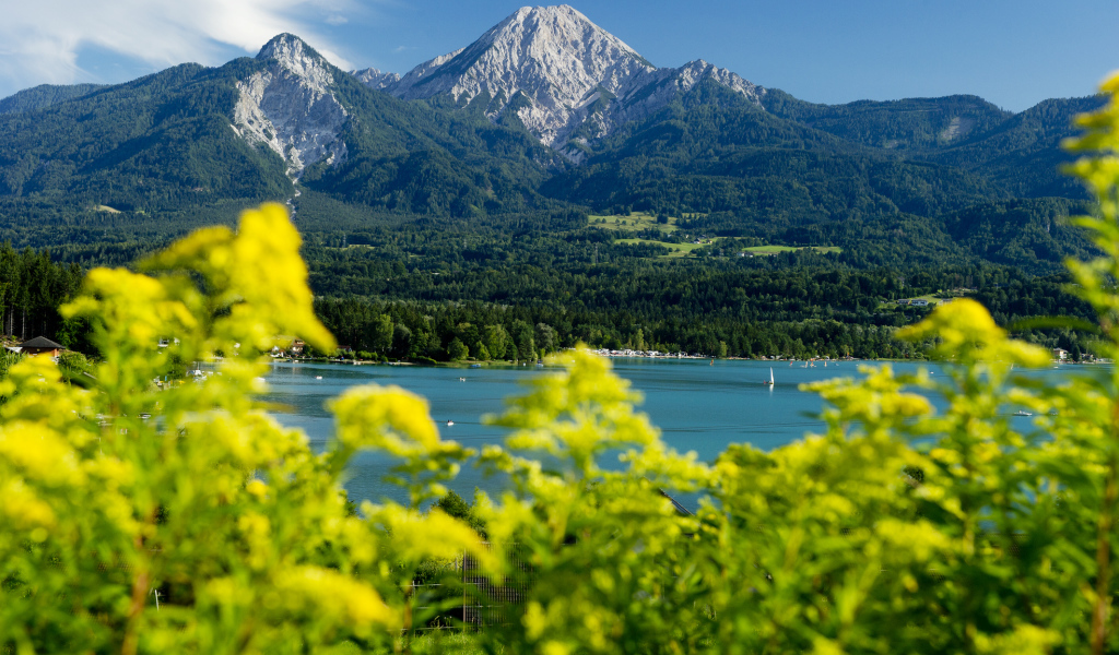 Зелень на фоне гор на курорте Фаакер-Зее, Австрия