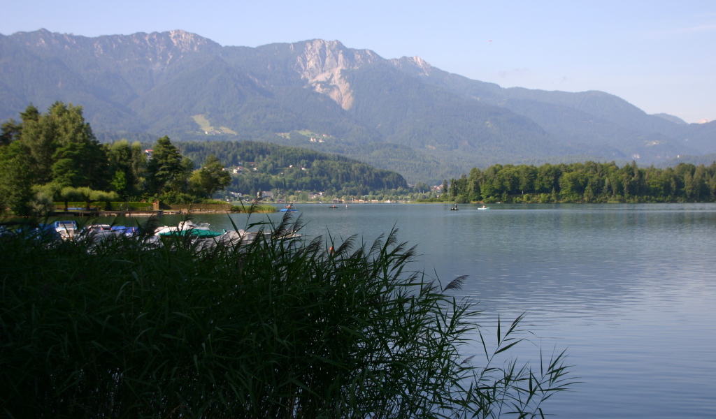 Камыши на озере на курорте Фаакер-Зее, Австрия