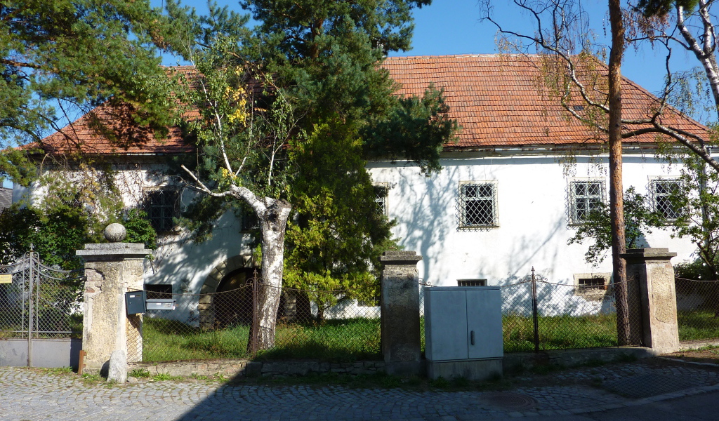 Дерево у дома в городе Лэнгенфельд, Австрия