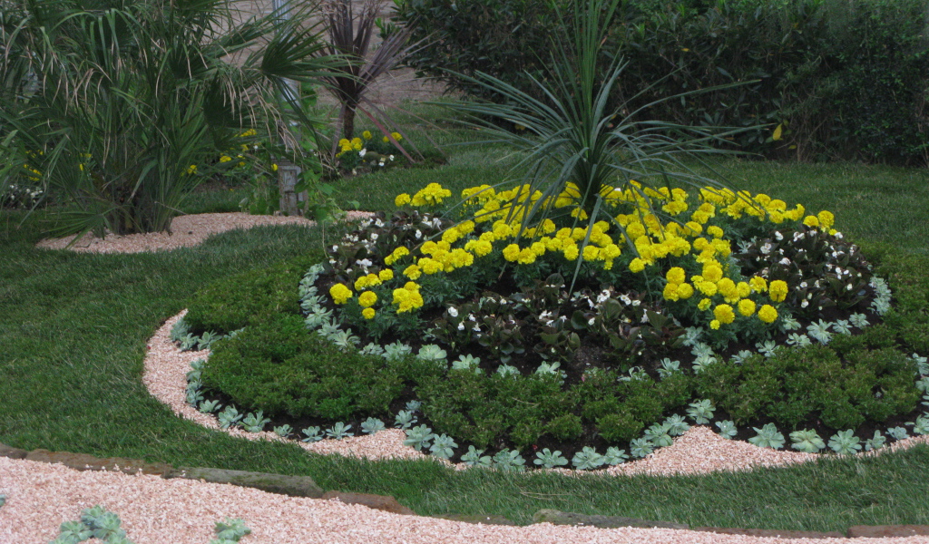 Желтые цветы на курорте Баден, Австрия