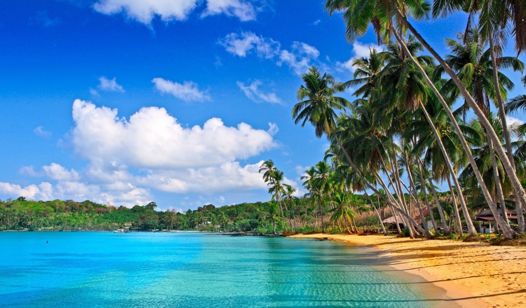 Удивительная картина Барбадоса пляжа