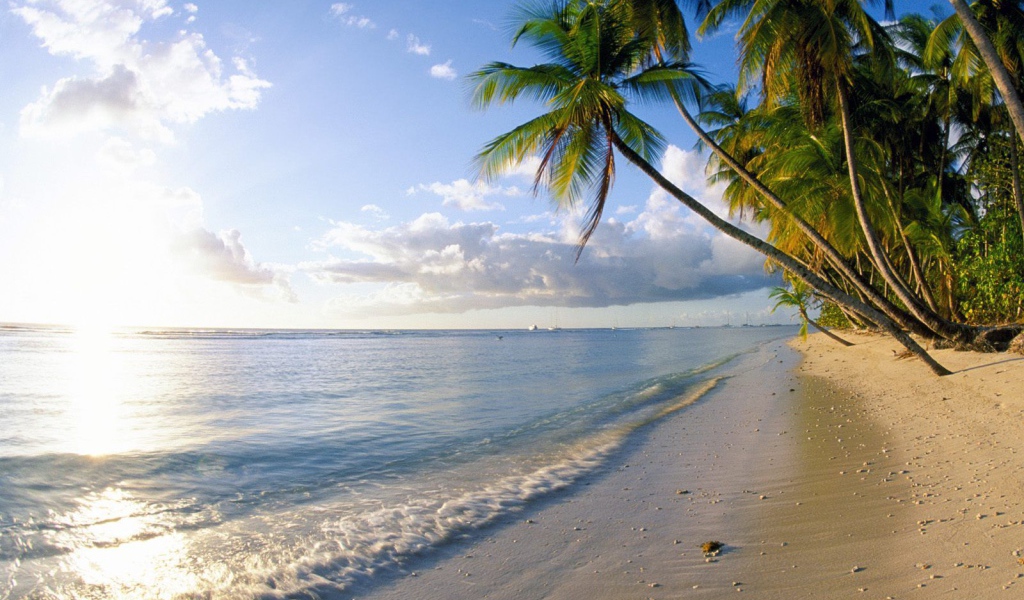 Знаменитый пляж Барбадоса