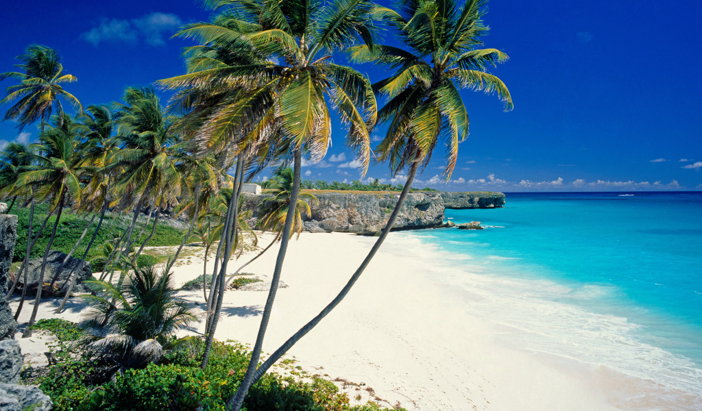 Солнечный берег в Барбадосе