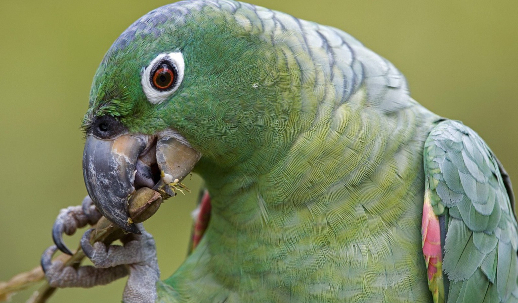 Эффектное Перу