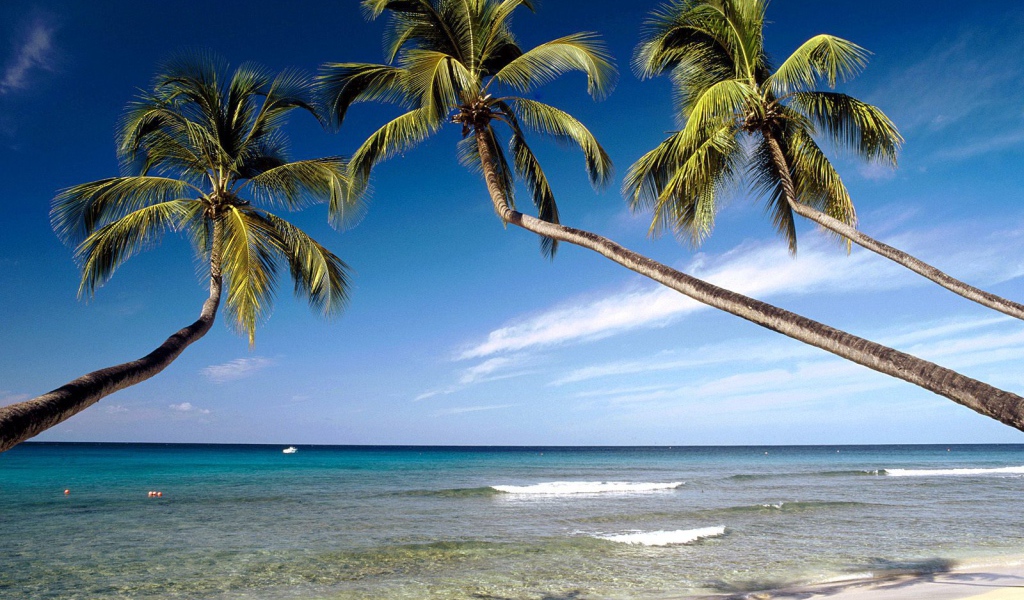 Красивое Барбадос