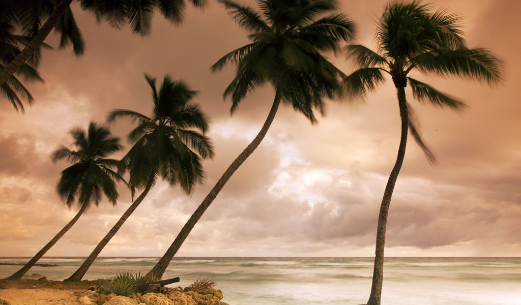 Потрясающое Барбадос