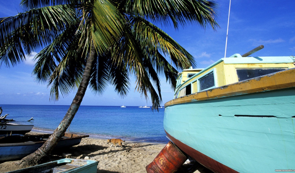 Впечатляющие Барбадос