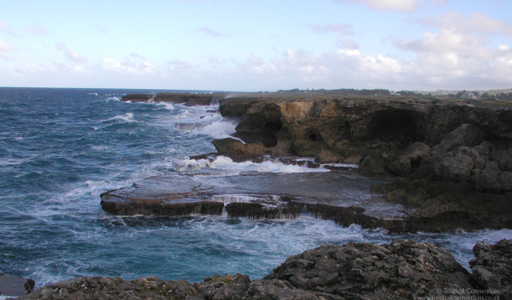 Восхитительная страна Барбадос