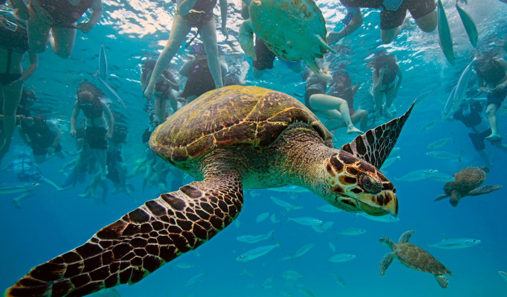 Туристическое место в Барбадос