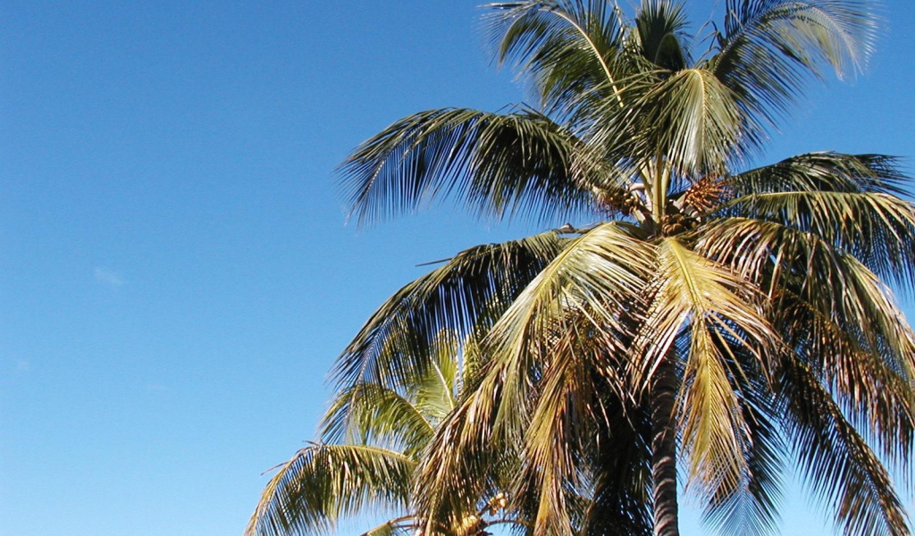 Замечательное место в Барбадос