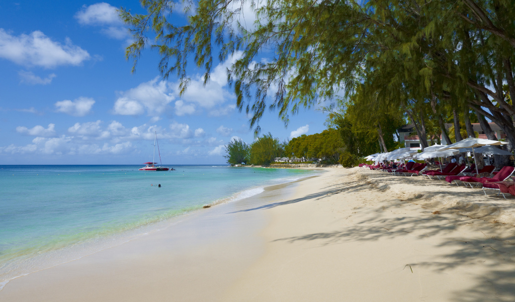 Привлекательное место в Барбадос
