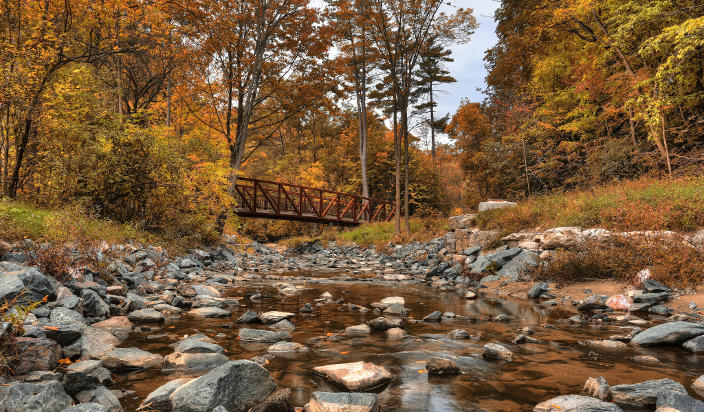 Красивый парк в Торонто, Канада