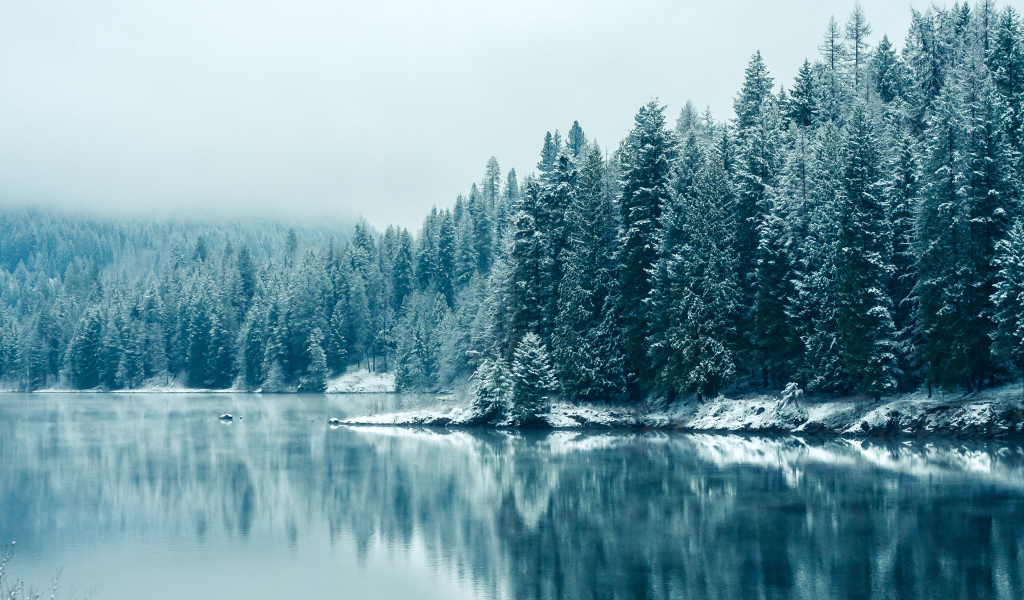 Красивая зима, Британская Колумбия, Канада