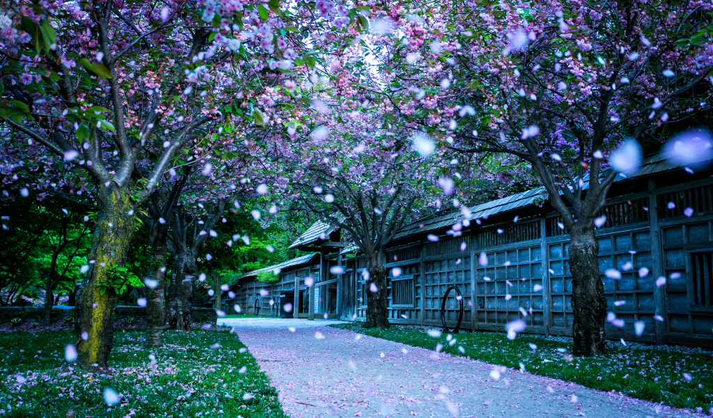 Кария парк в городе Миссисауга, Канада