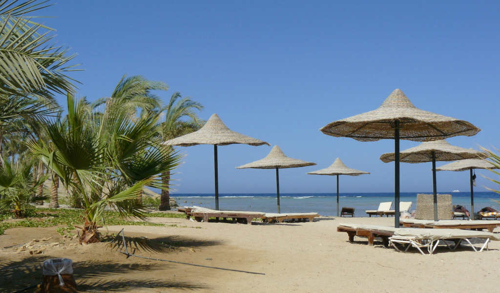 Отдых на пляже на курорте Марса Алам, Египет