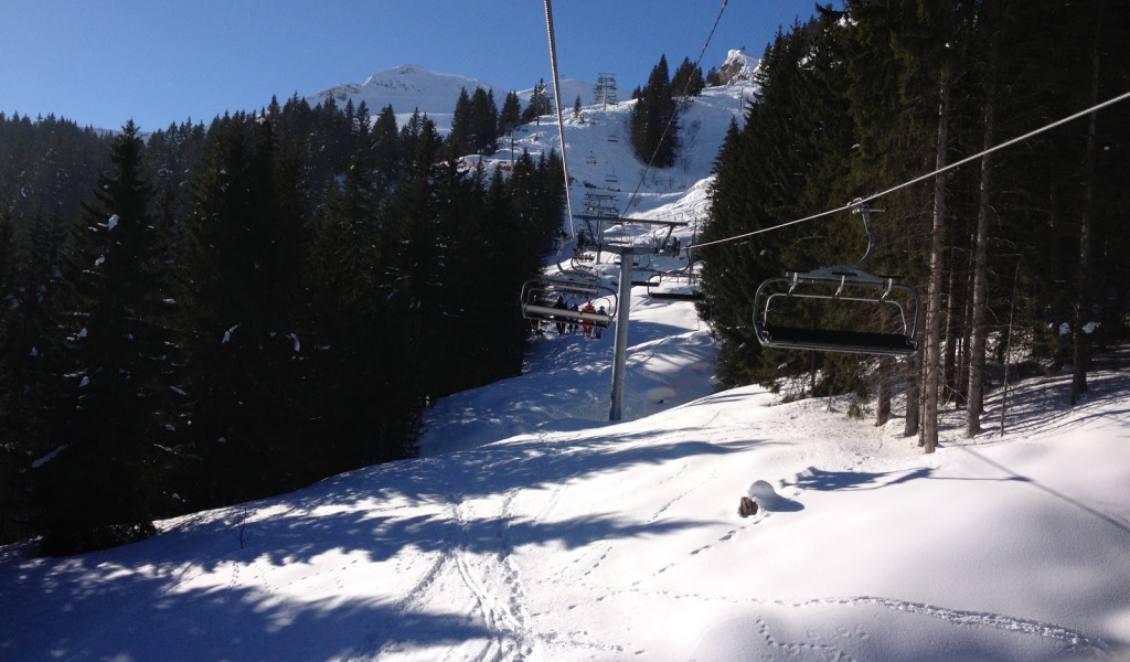 Подъемник среди сосен на горнолыжном курорте Самоен, Франция