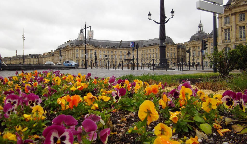 Цветочная клумба в Бордо, Франция