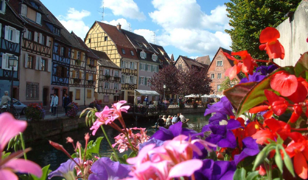 Цветы в Эльзасе, Франция